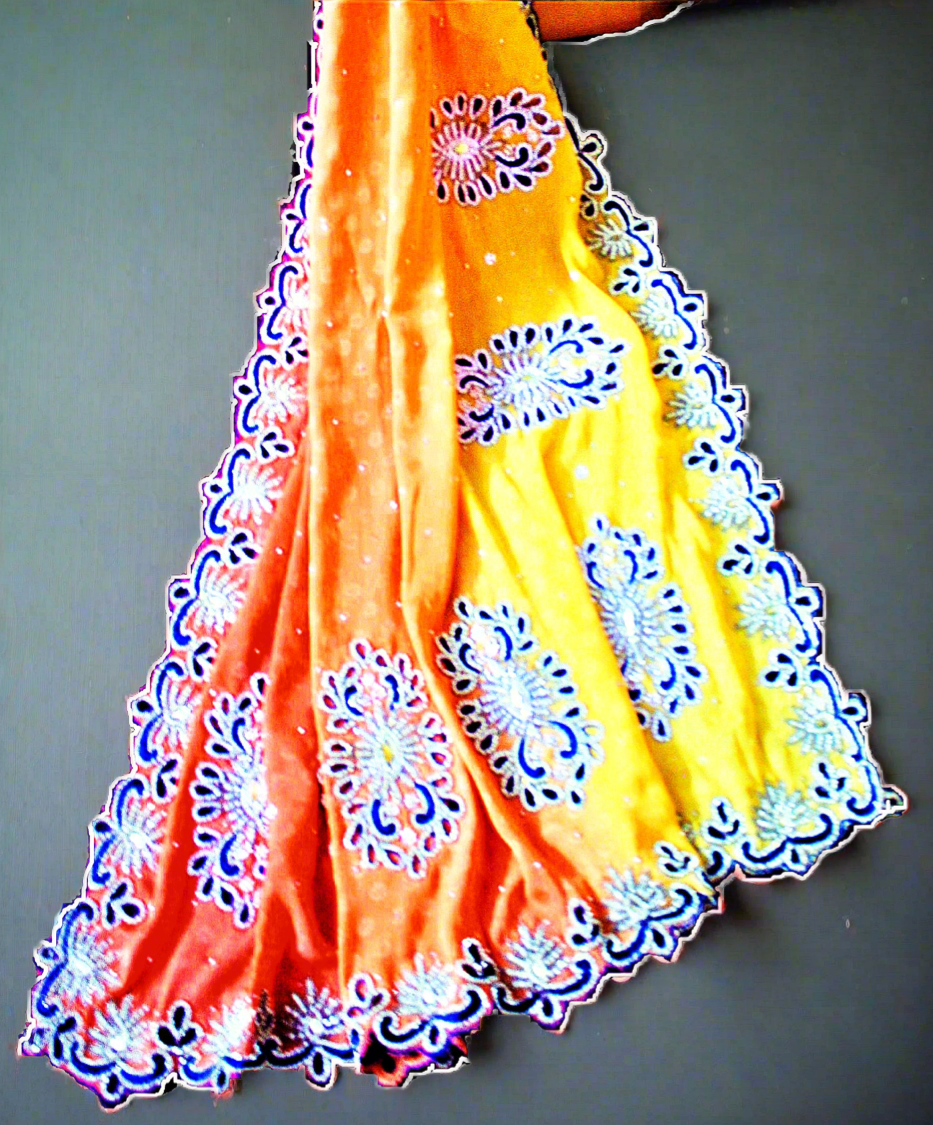 Designer Cutwork Zarkan Shaded Handcrafted Saree