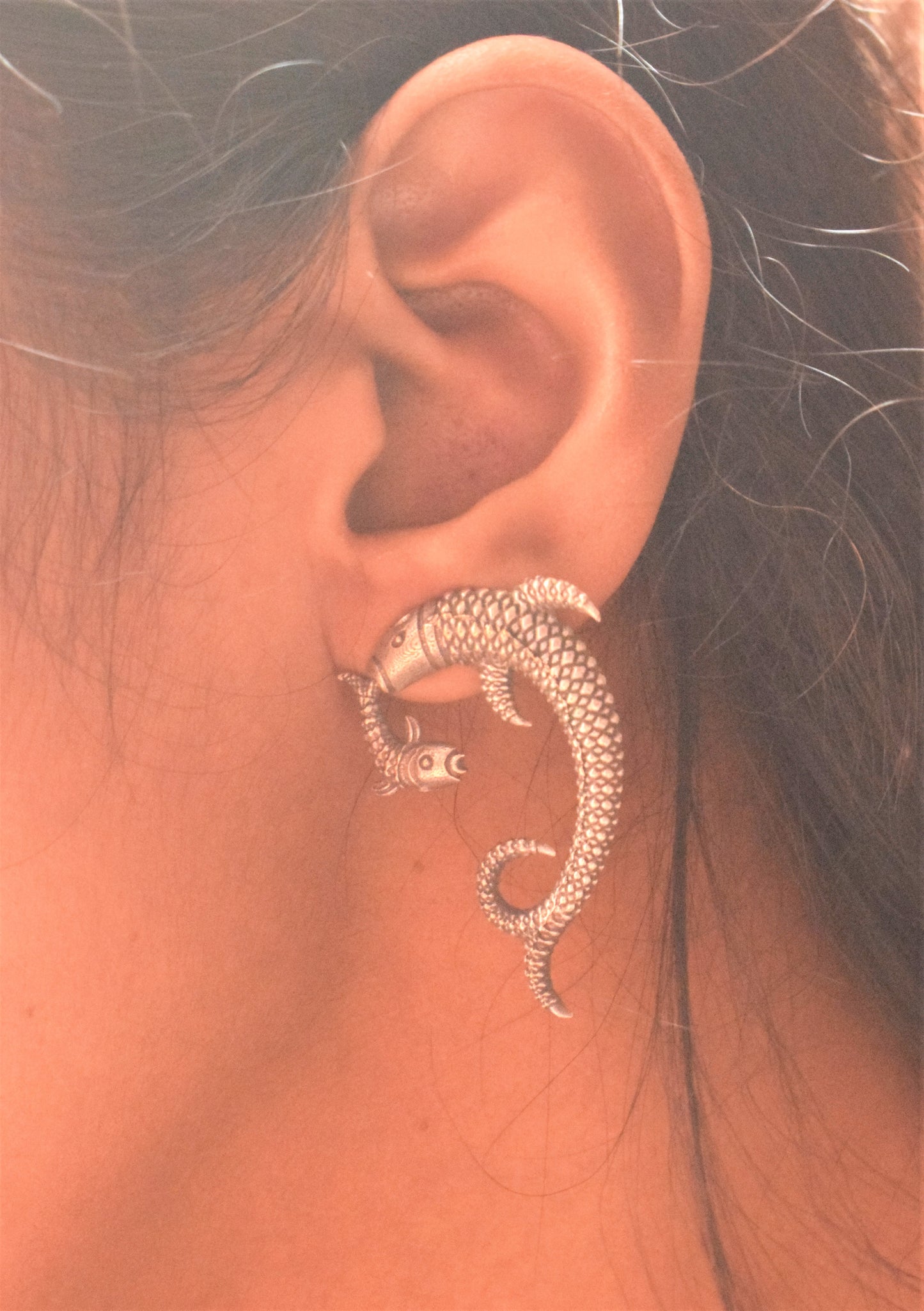 Fish Twin Curved German Silver Stud Earrings
