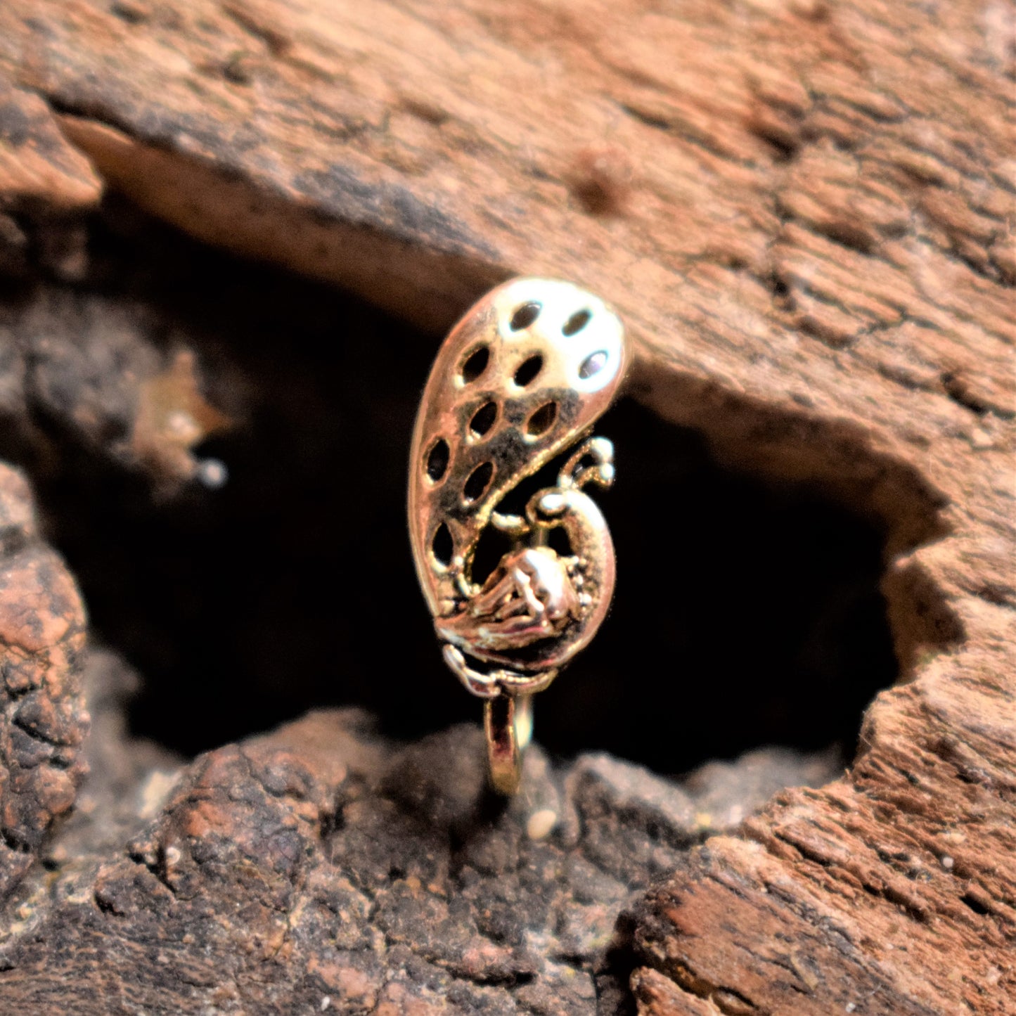 Matt Gold Peacock Nose Push Pin