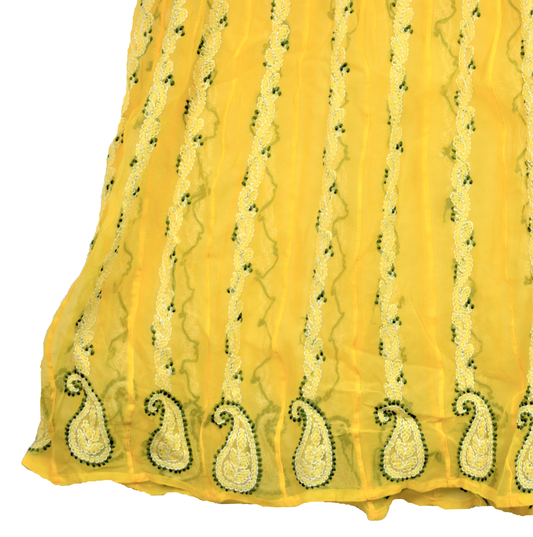 Long Chikan Anarkali Kurti - GlitterGleam