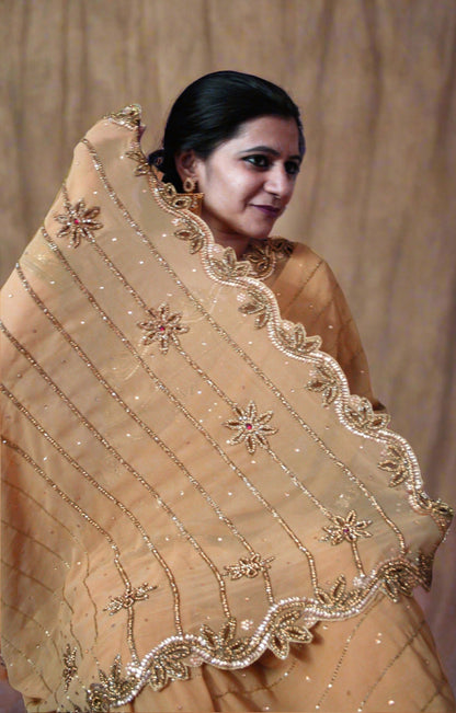 Heavy Zarkan Work Handcrafted Saree - Glitter Gleam