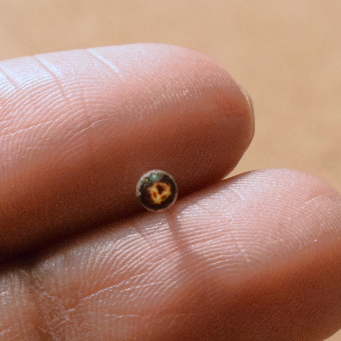 Mini Stud Nose Pin