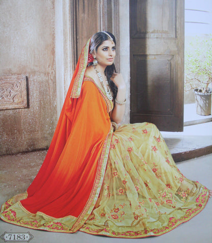 Designer Dual Shade Chiffon and Net Half Half Saree with Wide Cut work Border - GlitterGleam